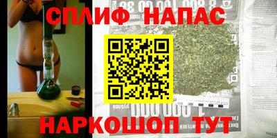 стаф Ставрополь
