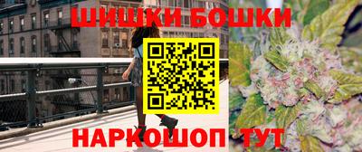 стаф Ставрополь