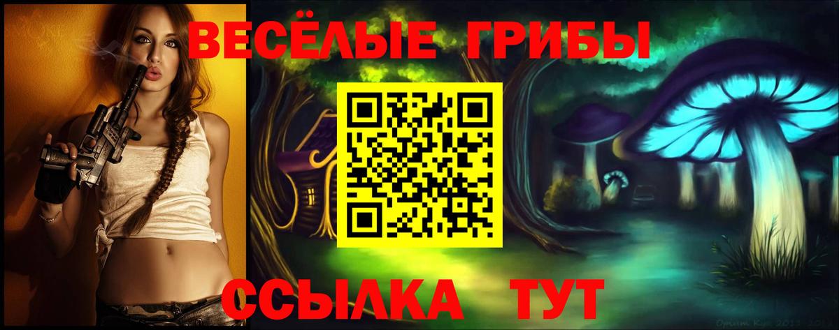 Псилоцибиновые грибы Cubensis  купить  цена  Тольятти  Вход с VPN  Галлюциногенные грибы прущие грибы 