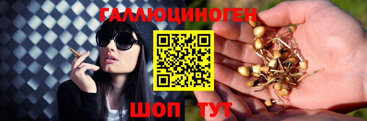 Галлюциногенные грибы мухоморы Тольятти